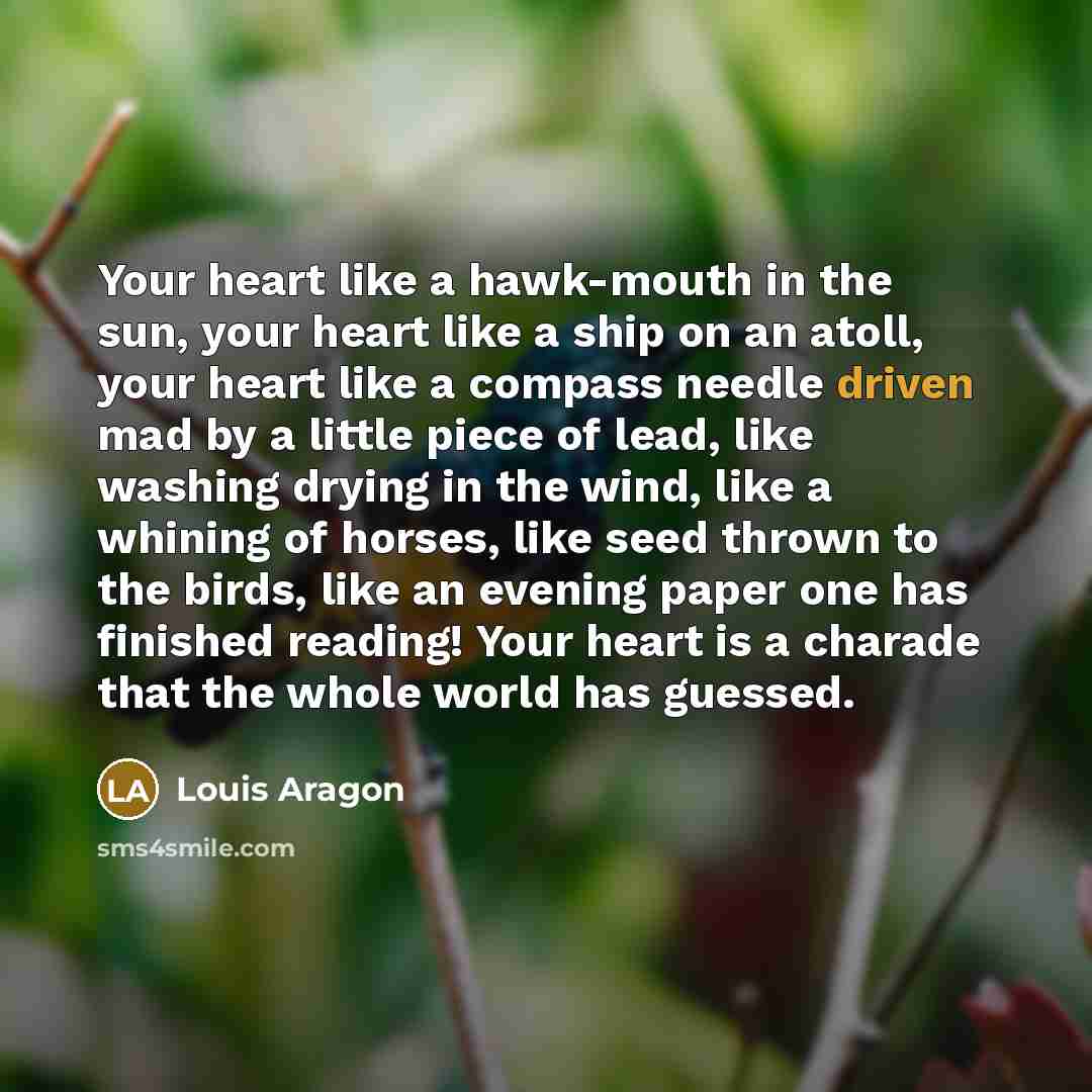 “Your heart like a hawk-mouth in the sun, your heart…” quote by Louis Aragon