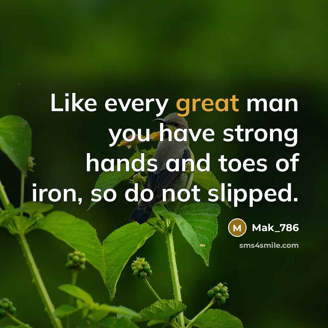 “Like every great man you have strong hands and toes of iron, so do not slipped.” quote by Mak_786