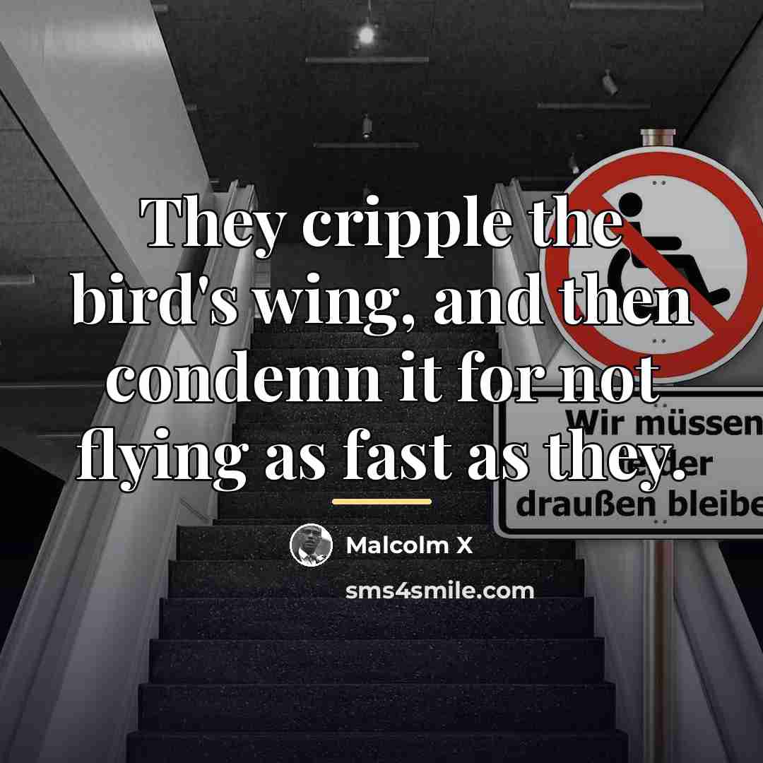 “They cripple the bird's wing, and then condemn it for…” quote by Malcolm X