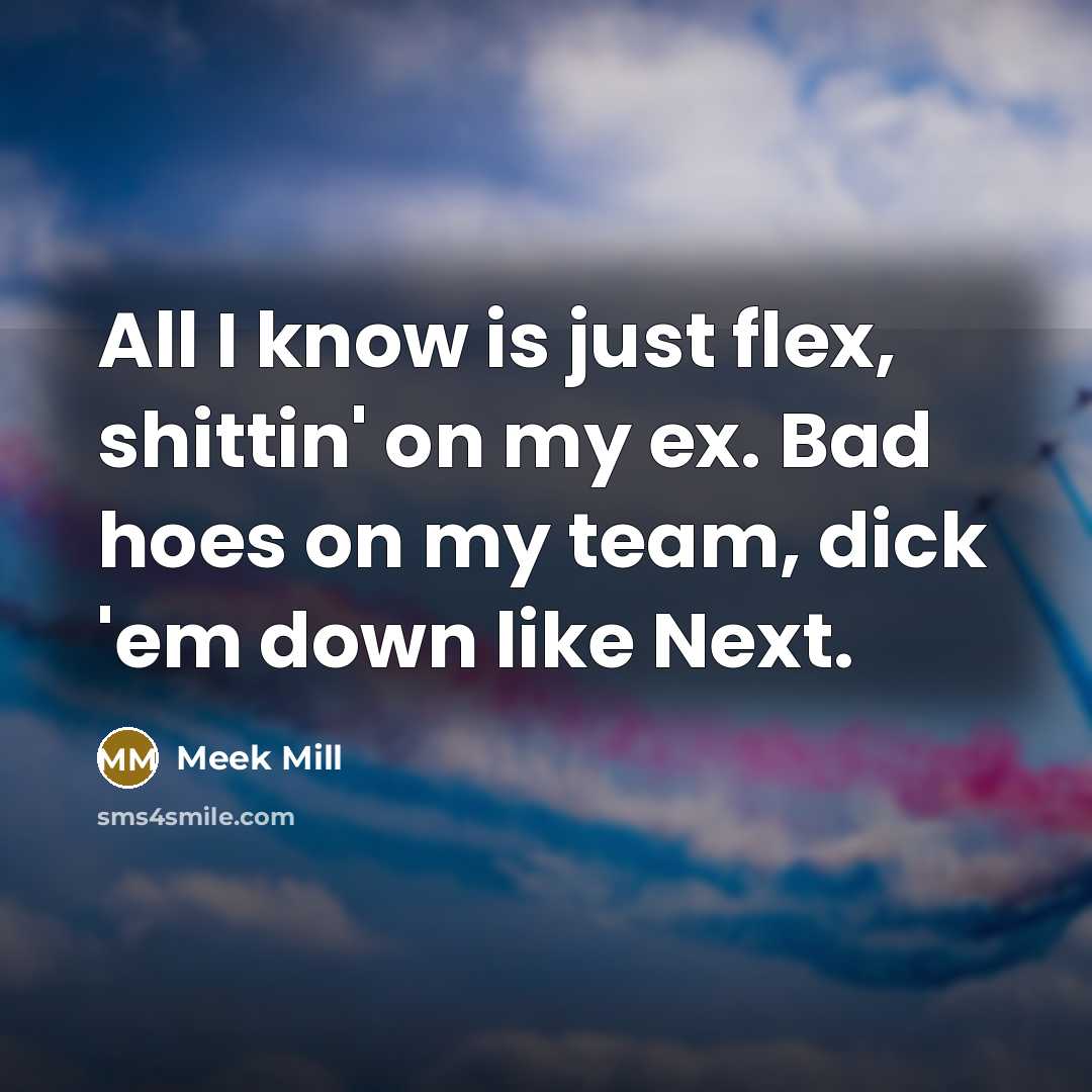 “All I know is just flex, shittin' on my ex. Bad hoes on my team, dick 'em down like Next.” quote by Meek Mill