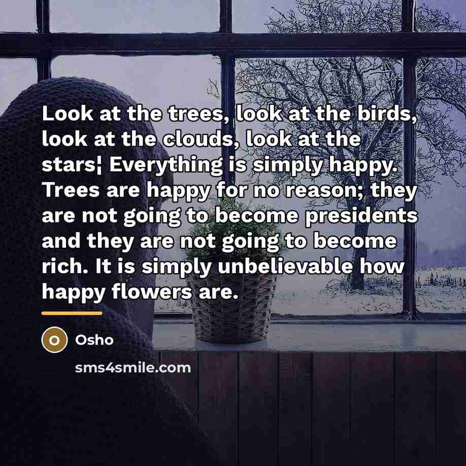 “Look at the trees, look at the birds, look at…” quote by Osho