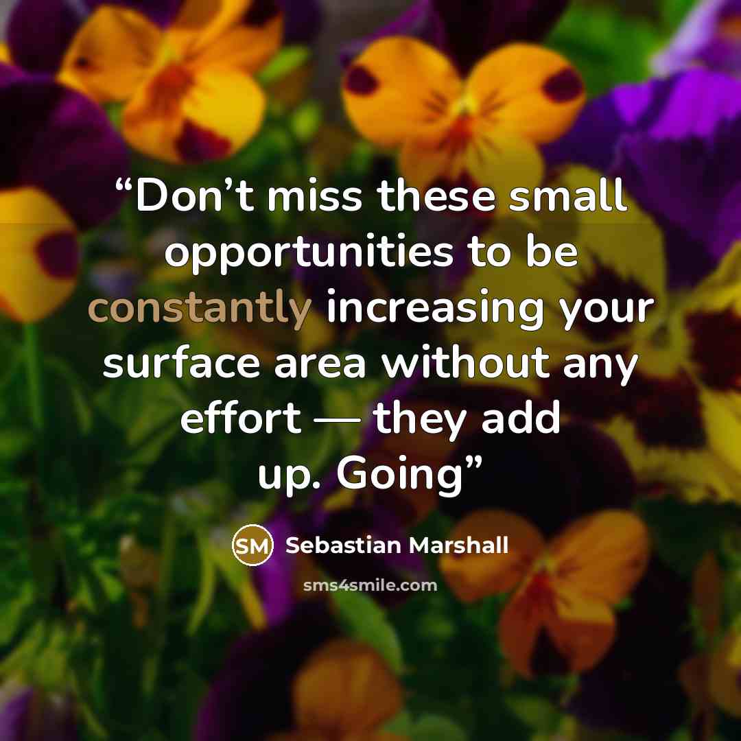 “Don’t miss these small opportunities to be constantly increasing your surface area without any effort — they add up. Going” quote by Sebastian Marshall