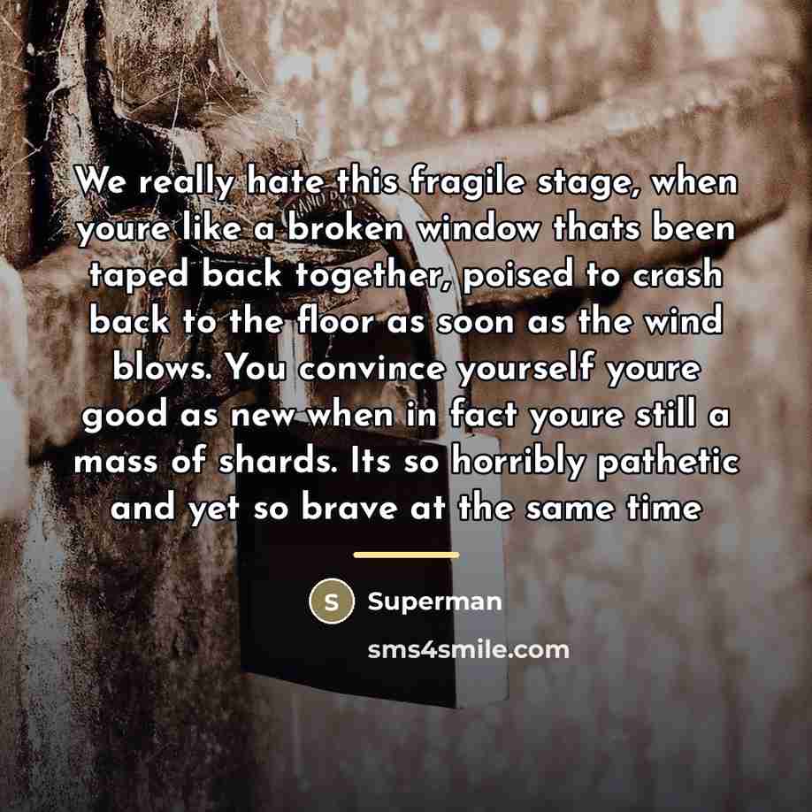 “We really hate this fragile stage, when youre like a…” quote by Superman