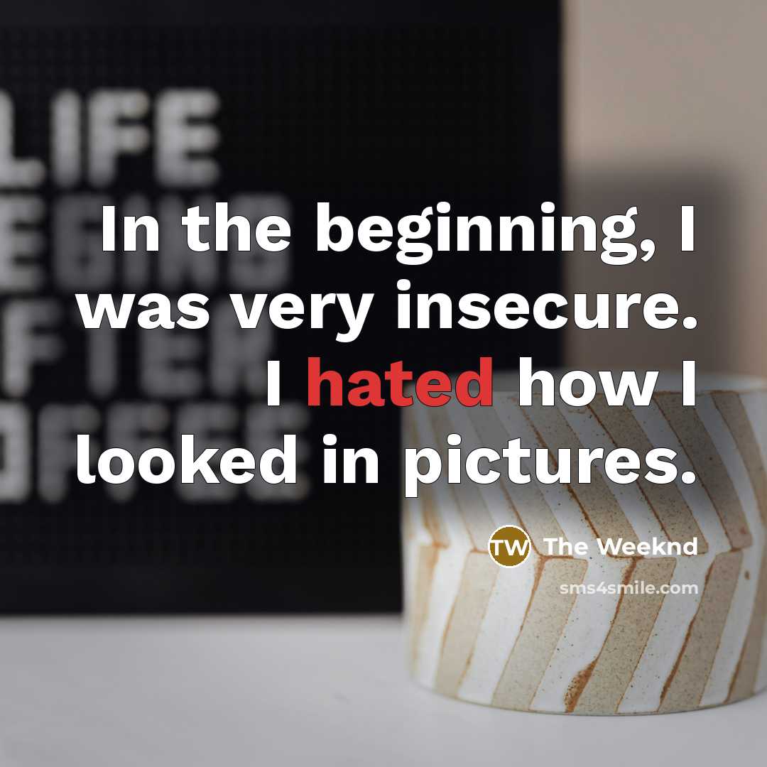 “In the beginning, I was very insecure. I hated how…” quote by The Weeknd