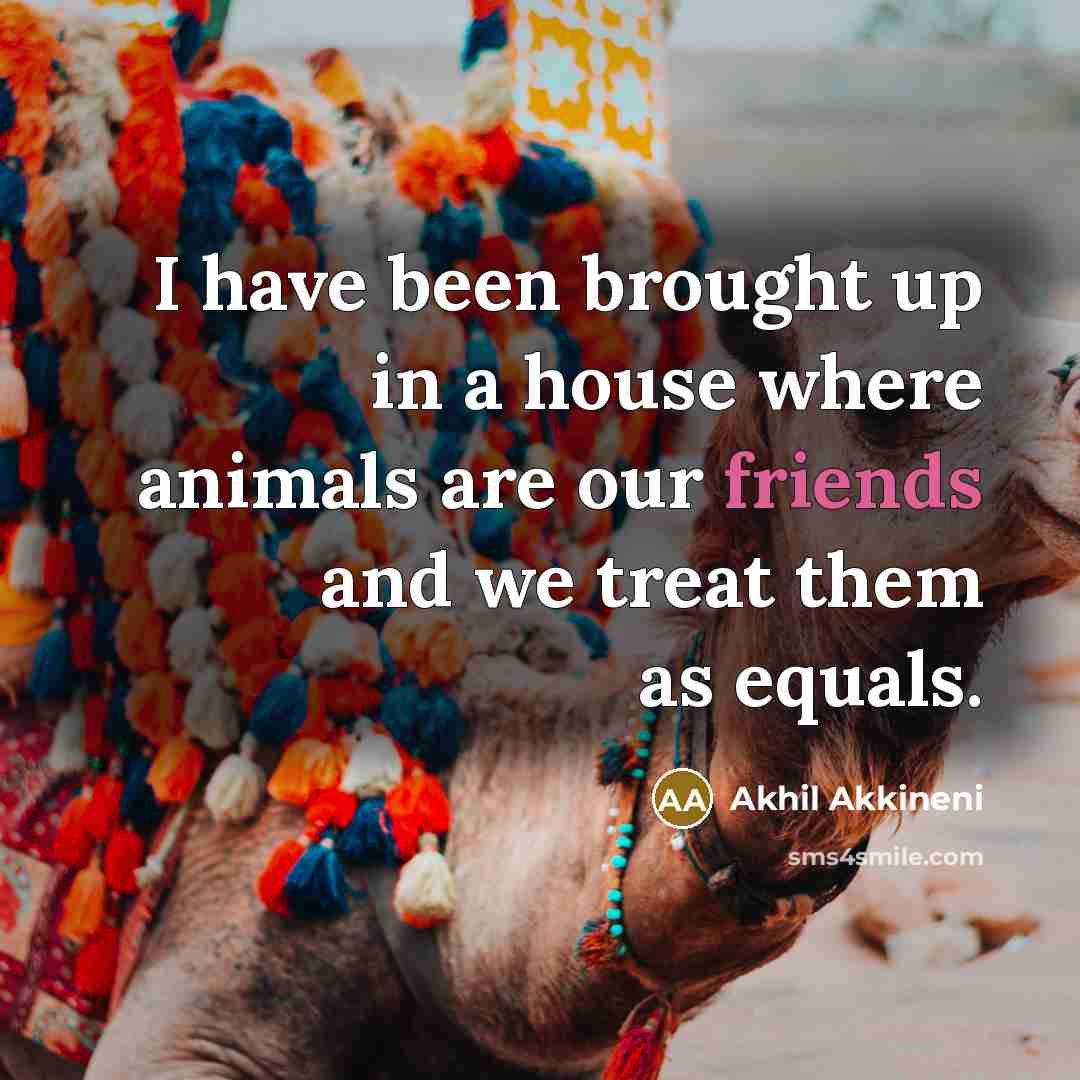 “I have been brought up in a house where animals are our friends and we treat them as equals.” quote by Akhil Akkineni