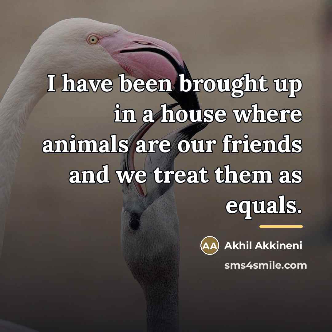 “I have been brought up in a house where animals…” quote by Akhil Akkineni