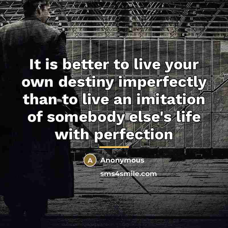 “It is better to live your own destiny imperfectly than…” quote by Anonymous
