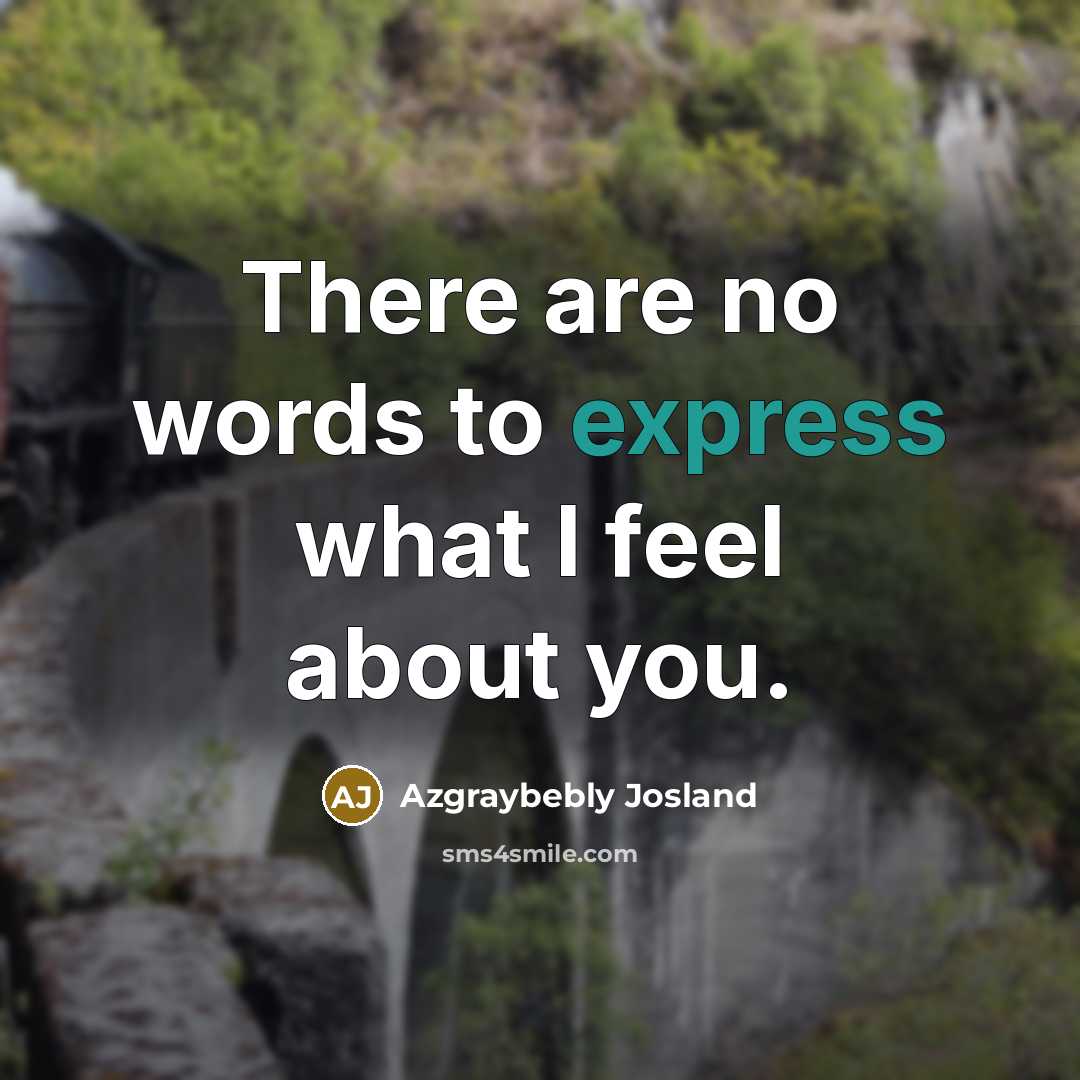 “There are no words to express what I feel about…” quote by Azgraybebly Josland
