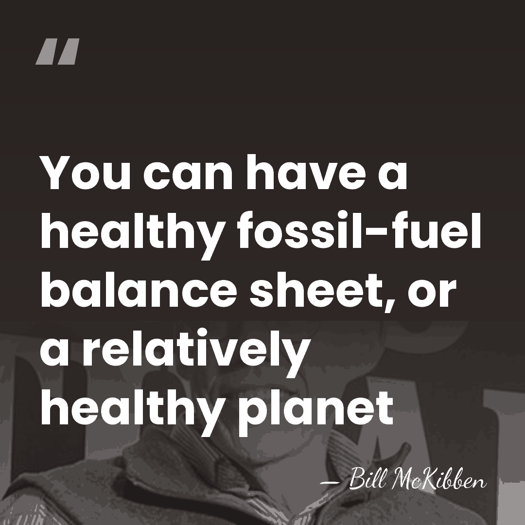 You can have a healthy fossil-fuel balance sheet, or a relatively healthy&hellip; - Bill McKibben