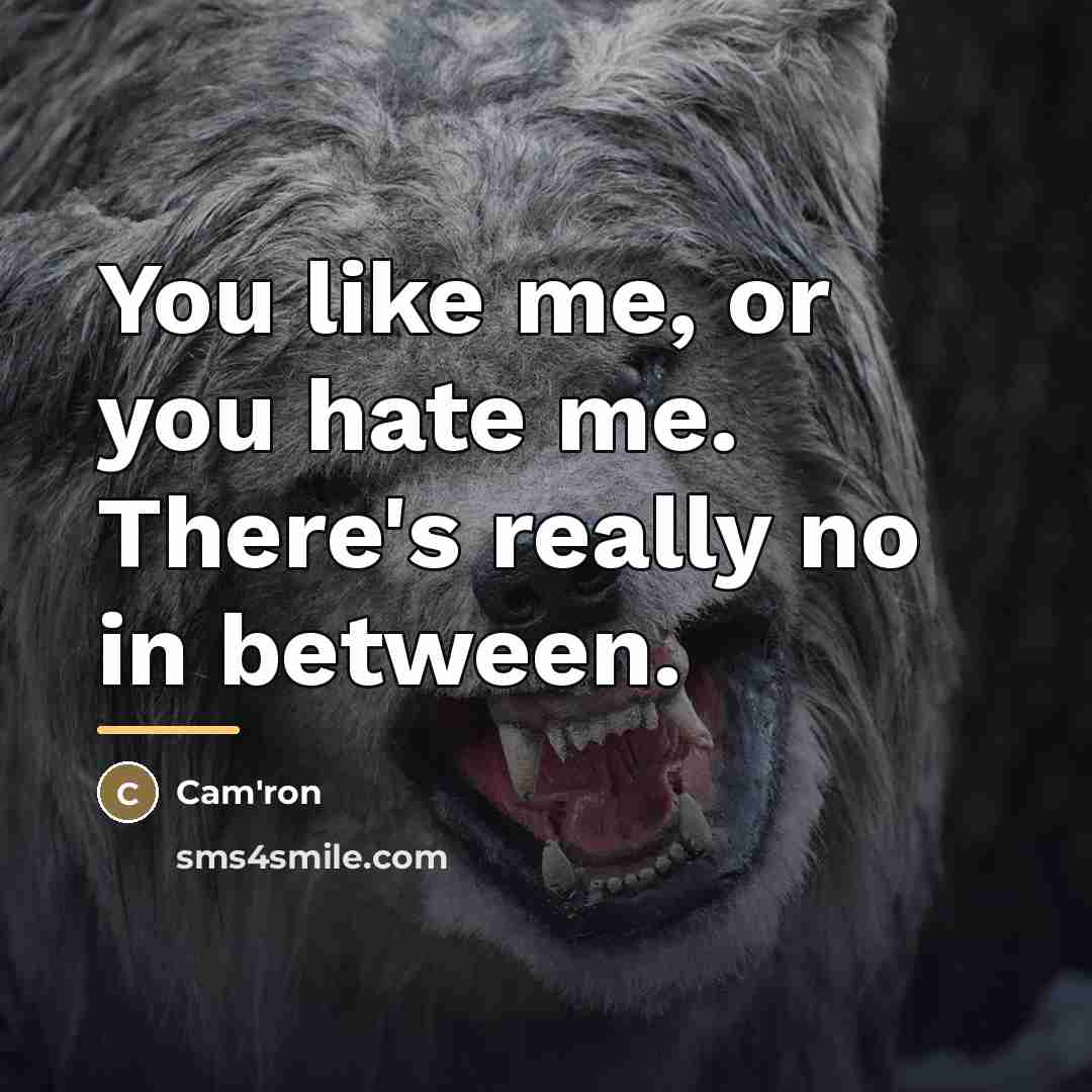 “You like me, or you hate me. There's really no…” quote by Cam'ron