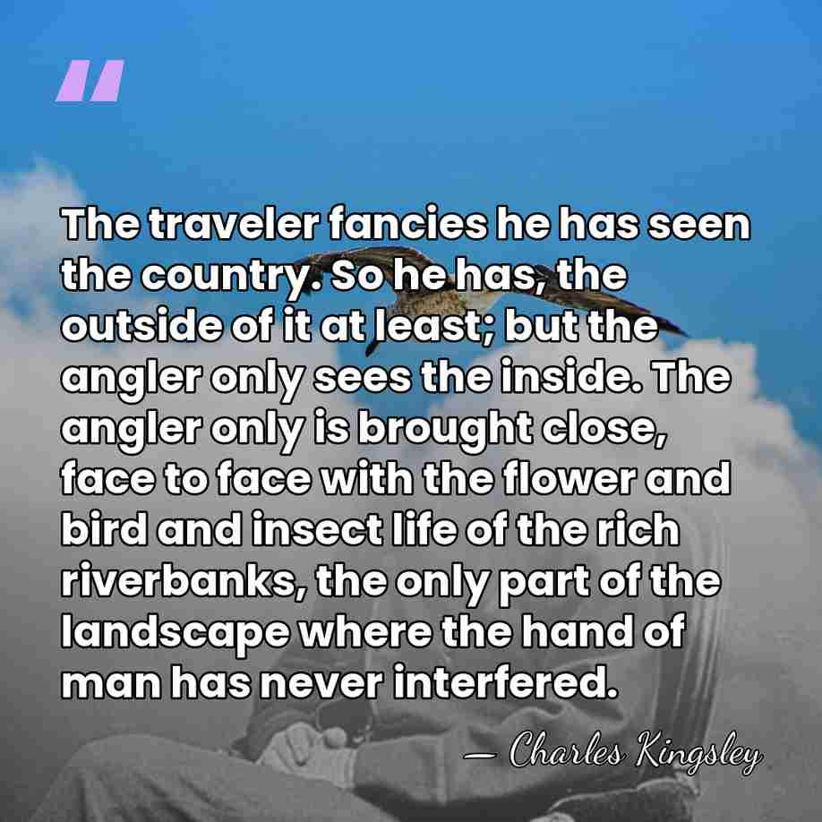 The traveler fancies he has seen the country. So he has, the&hellip; - Charles Kingsley