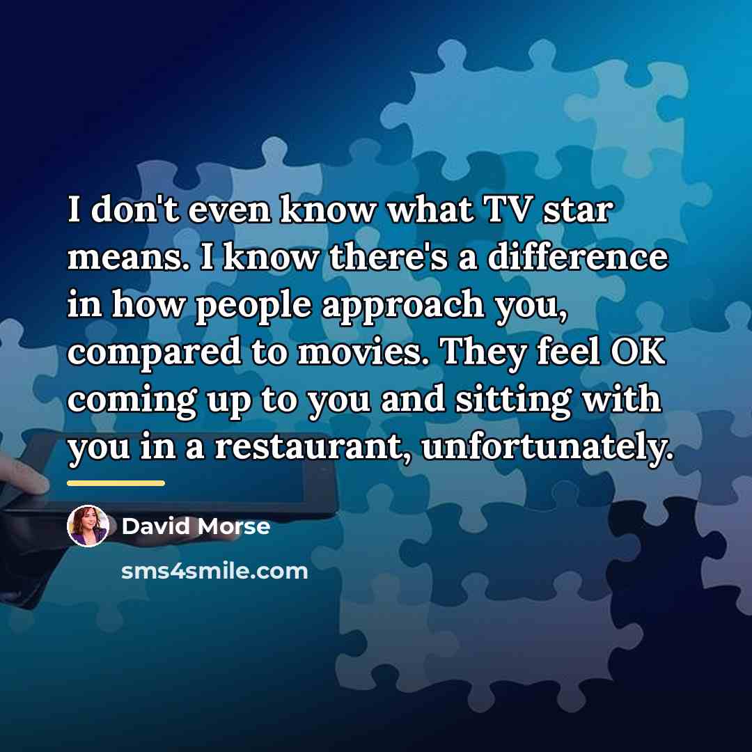 “I don't even know what TV star means. I know…” quote by David Morse