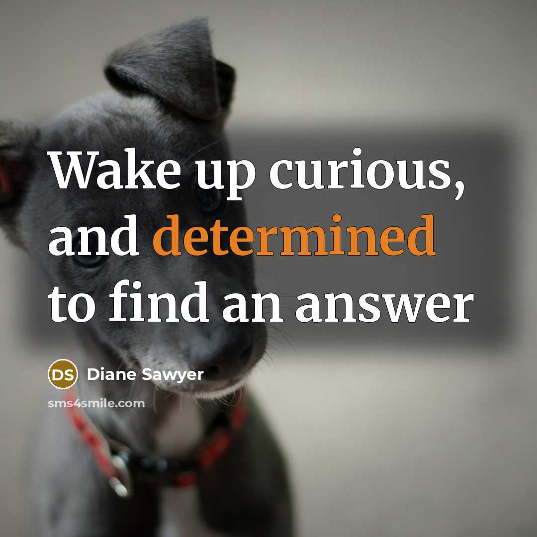 “Wake up curious, and determined to find an answer…” quote by Diane Sawyer