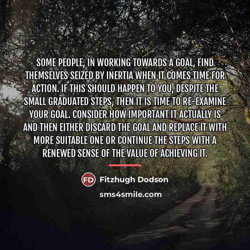“Some people, in working towards a goal, find themselves seized…” quote by Fitzhugh Dodson