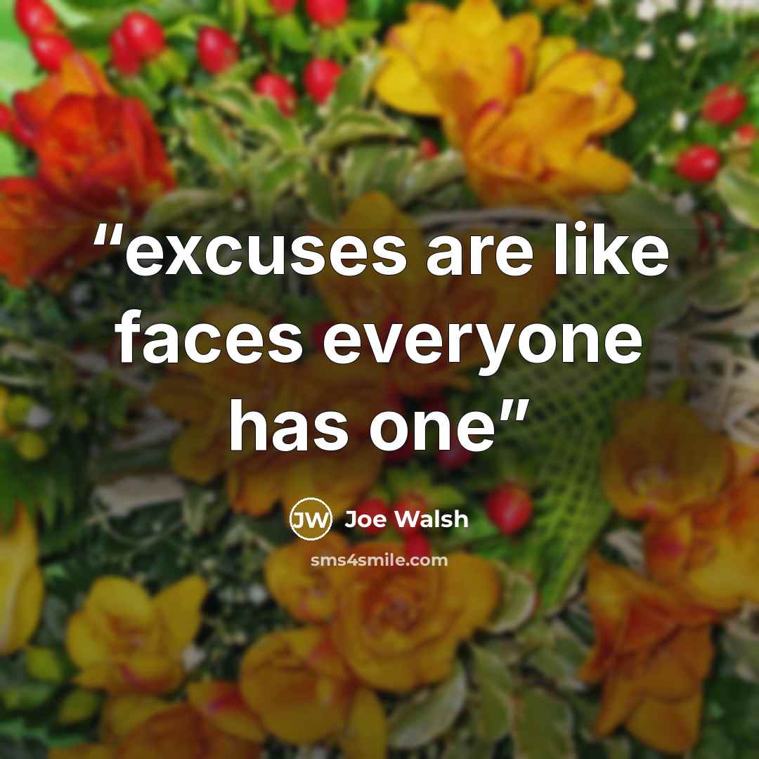 “excuses are like faces everyone has one” quote by Joe Walsh