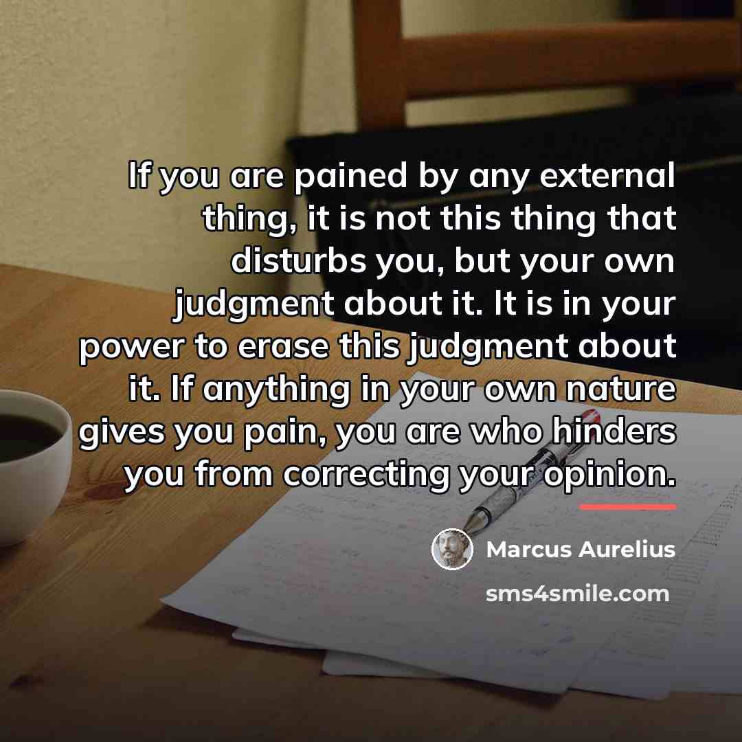 “If you are pained by any external thing, it is…” quote by Marcus Aurelius