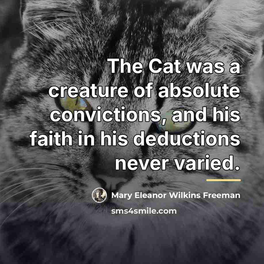 “The Cat was a creature of absolute convictions, and his…” quote by Mary Eleanor Wilkins Freeman