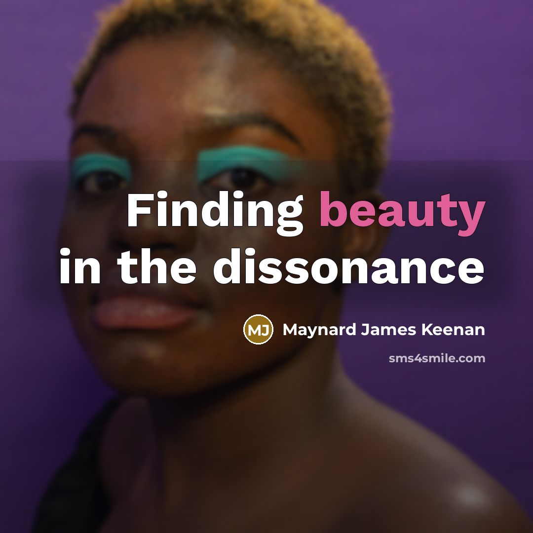 “Finding beauty in the dissonance…” quote by Maynard James Keenan