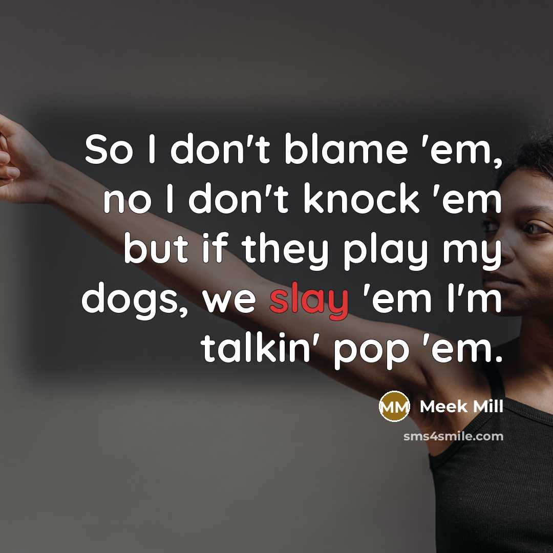 “So I don't blame 'em, no I don't knock 'em…” quote by Meek Mill
