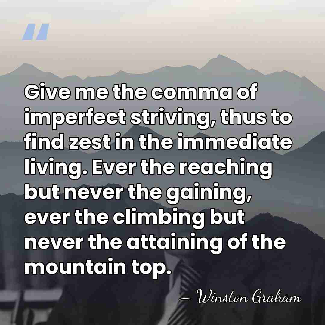 Give me the comma of imperfect striving, thus to find zest in&hellip; - Winston Graham