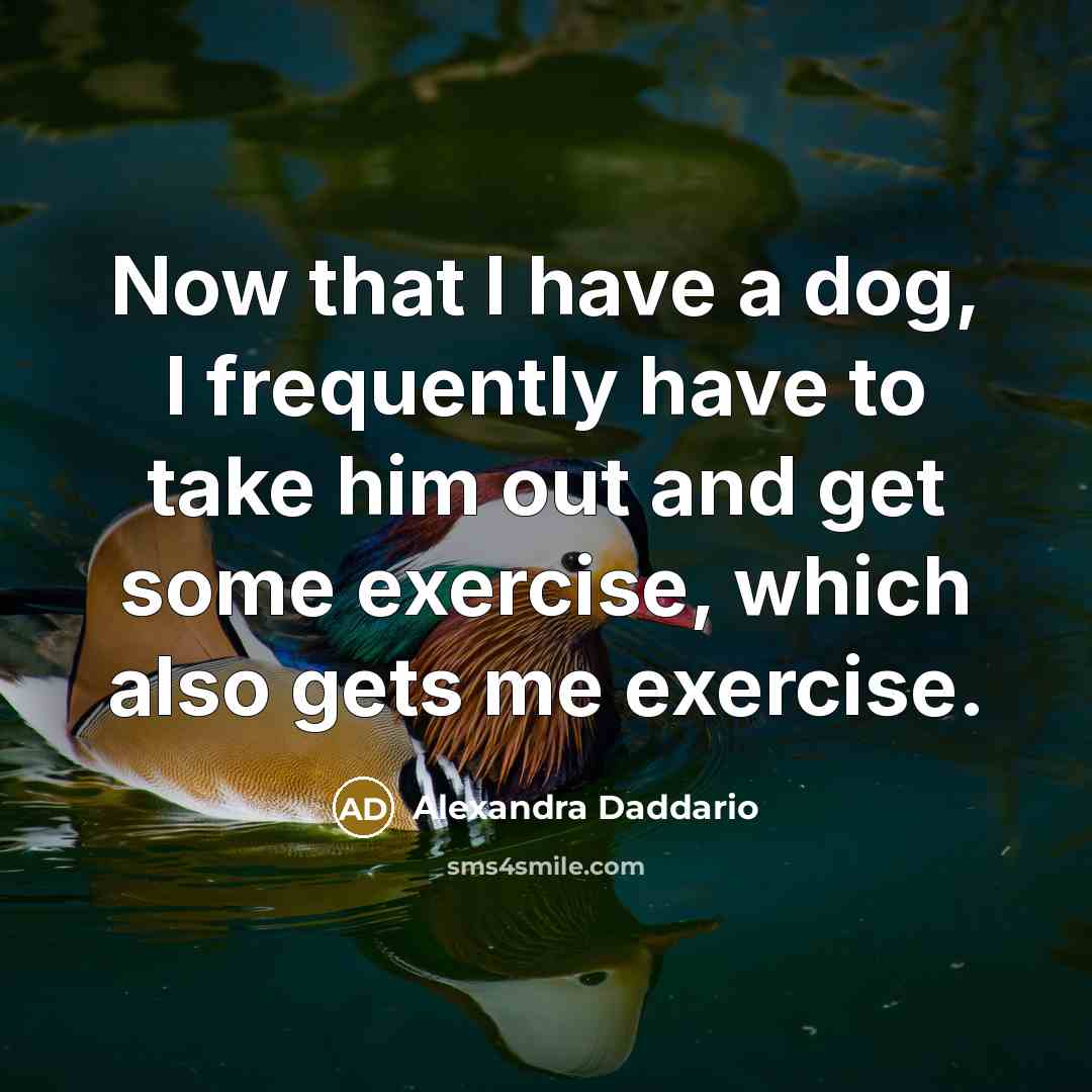 “Now that I have a dog, I frequently have to take him out and get some exercise, which also gets me exercise.” quote by Alexandra Daddario