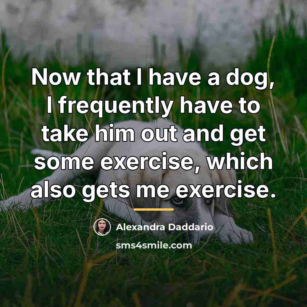 “Now that I have a dog, I frequently have to…” quote by Alexandra Daddario