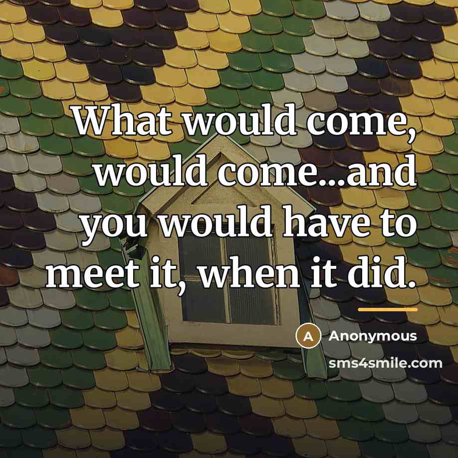 “What would come, would come...and you would have to meet…” quote by Anonymous