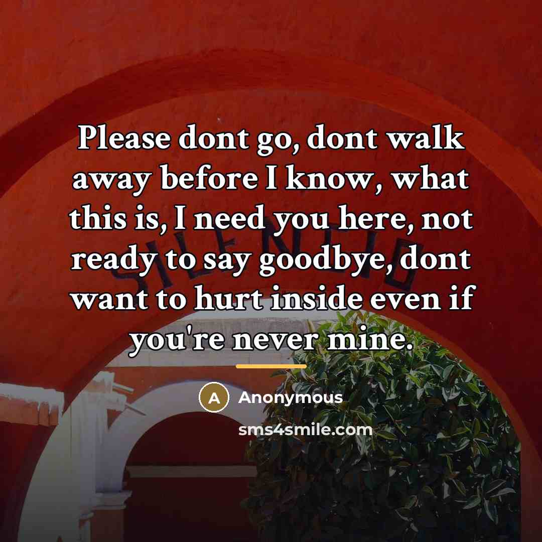 “Please dont go, dont walk away before I know, what…” quote by Anonymous