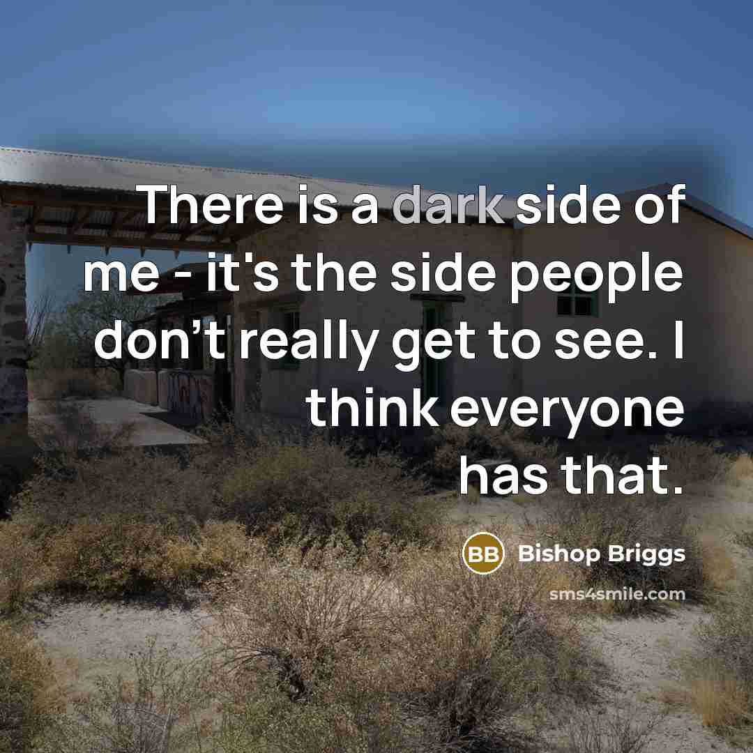 “There is a dark side of me - it's the…” quote by Bishop Briggs