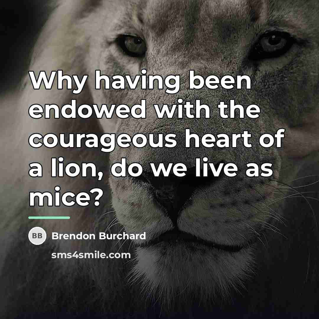 “Why having been endowed with the courageous heart of a…” quote by Brendon Burchard