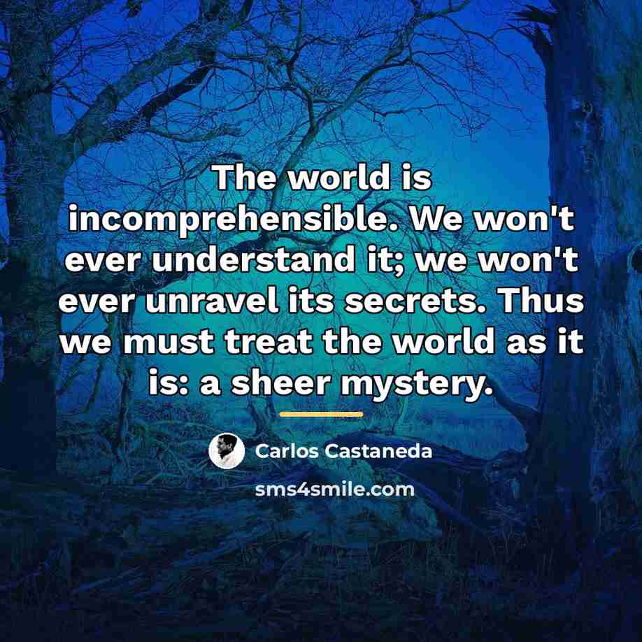 “The world is incomprehensible. We won't ever understand it; we…” quote by Carlos Castaneda