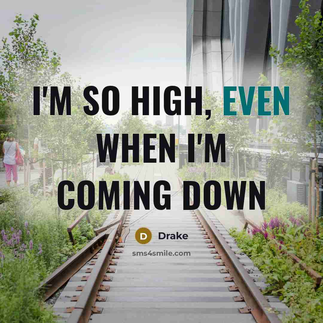 “I'm so high, even when I'm coming down…” quote by Drake