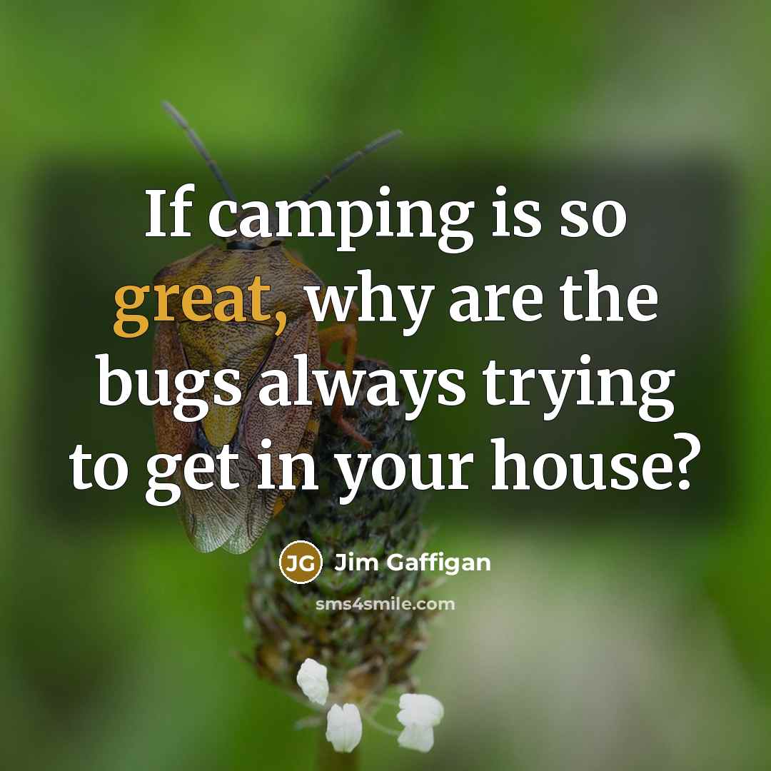 “If camping is so great, why are the bugs always…” quote by Jim Gaffigan