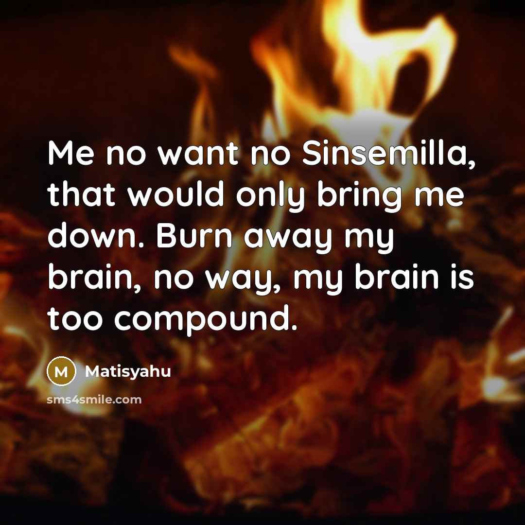 “Me no want no Sinsemilla, that would only bring me…” quote by Matisyahu