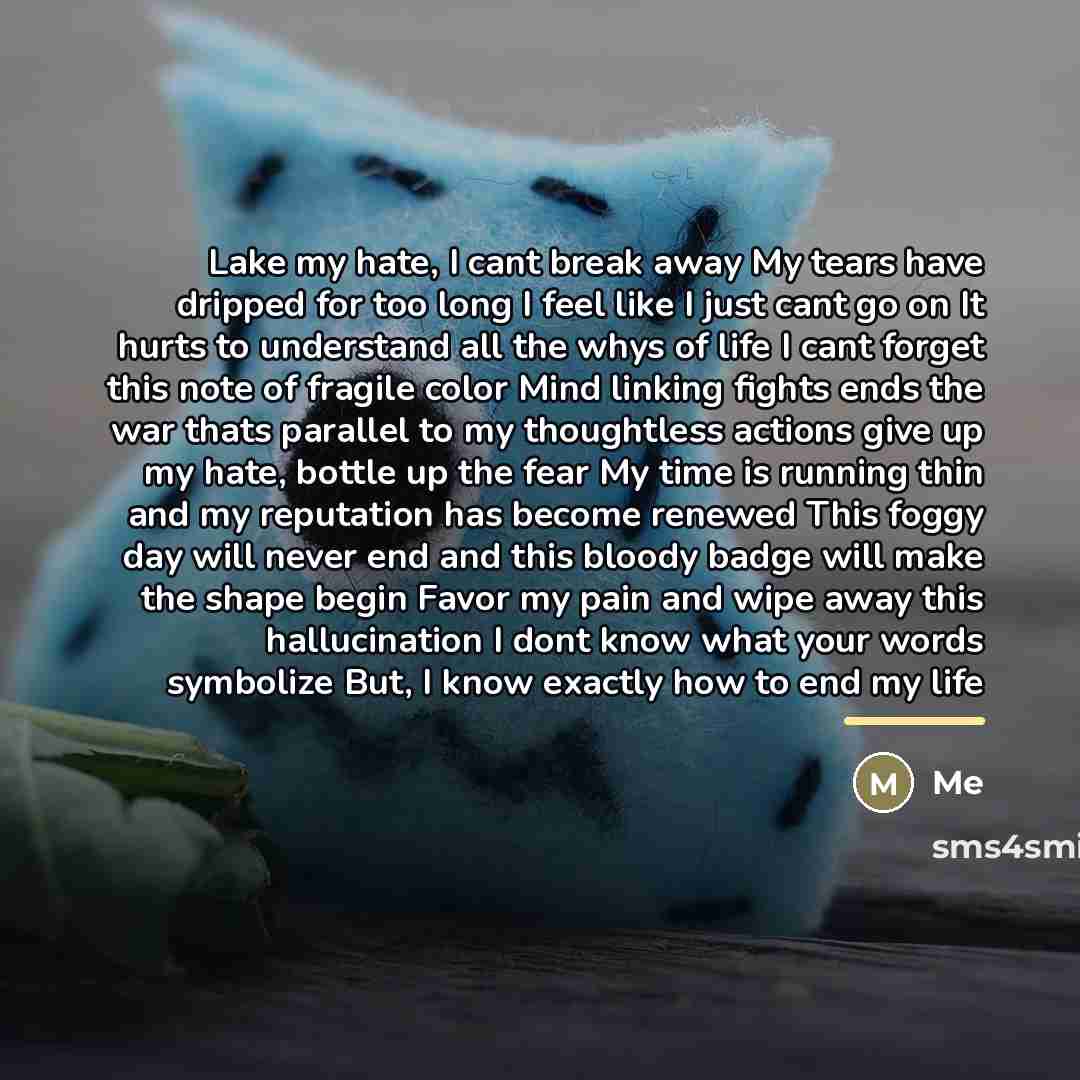“Lake my hate, I cant break away My tears have…” quote by Me