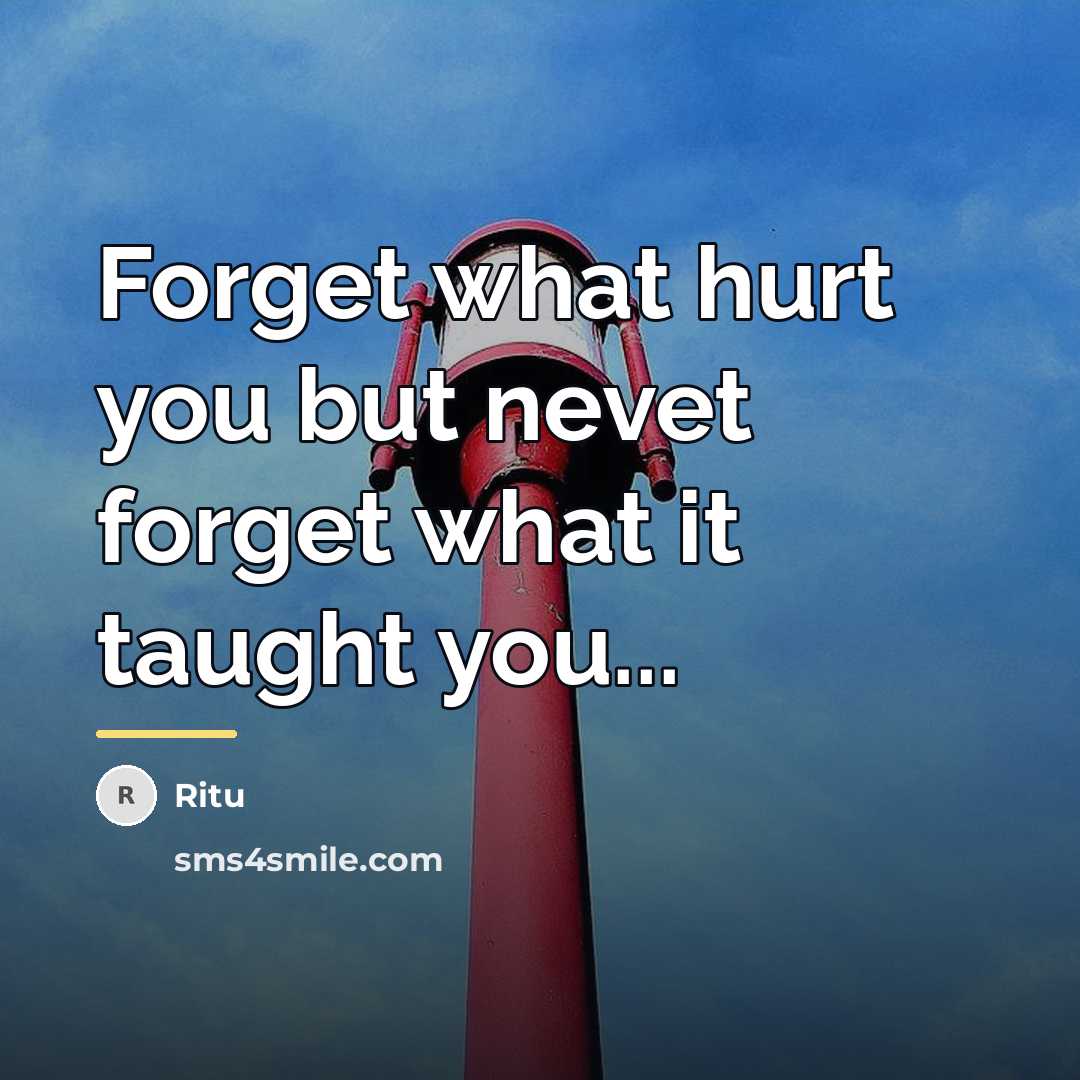 “Forget what hurt you but nevet forget what it taught…” quote by Ritu