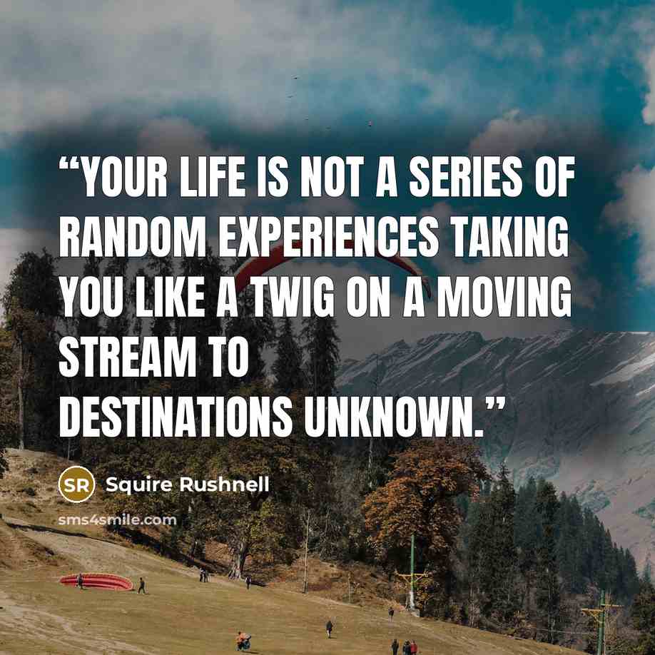 “Your life is not a series of random experiences taking you like a twig on a moving stream to destinations unknown.” quote by Squire Rushnell