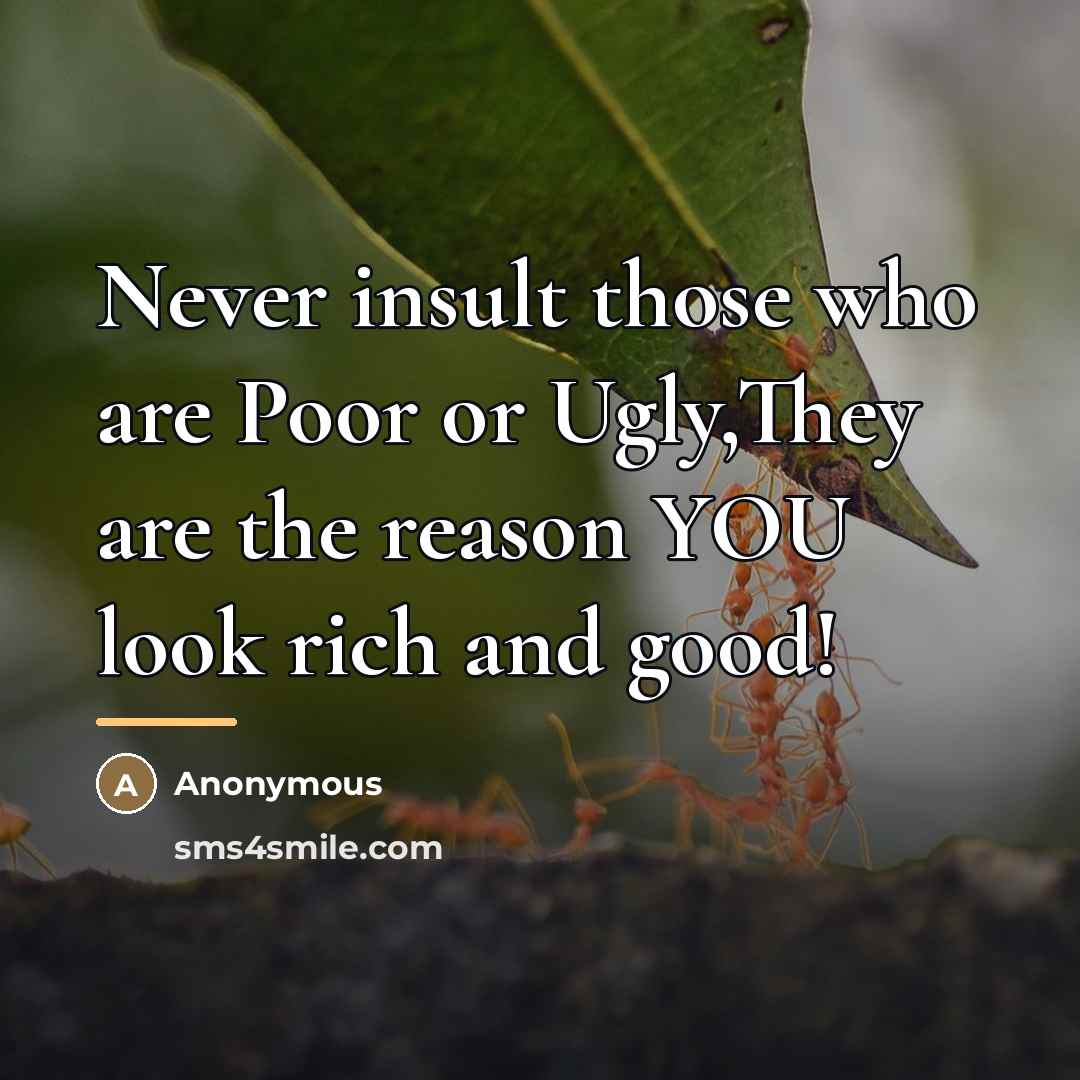 “Never insult those who are Poor or Ugly,They are the…” quote by Anonymous