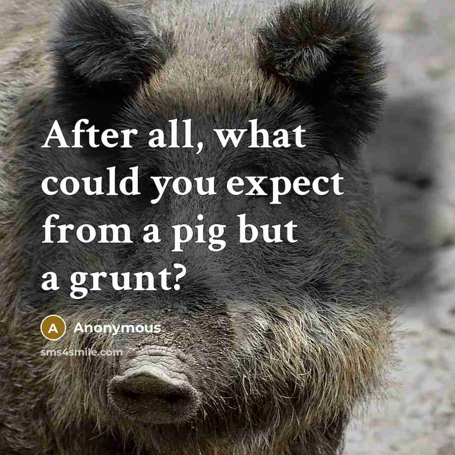 “After all, what could you expect from a pig but a grunt?” quote by Anonymous