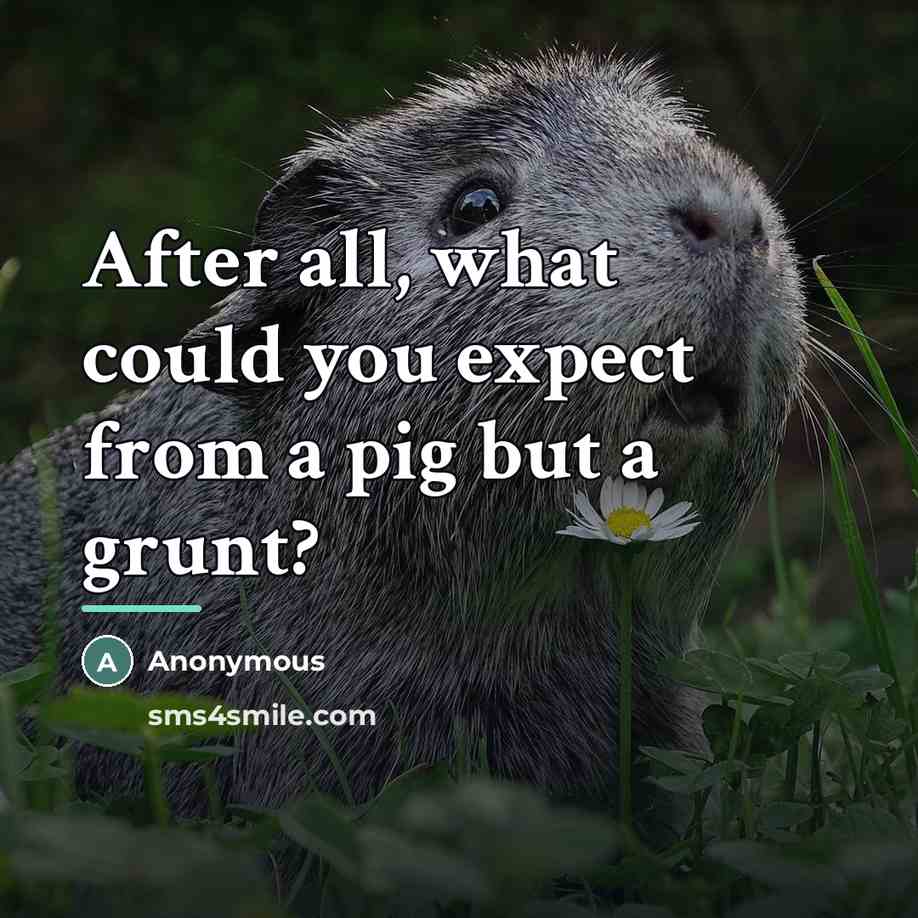 “After all, what could you expect from a pig but…” quote by Anonymous
