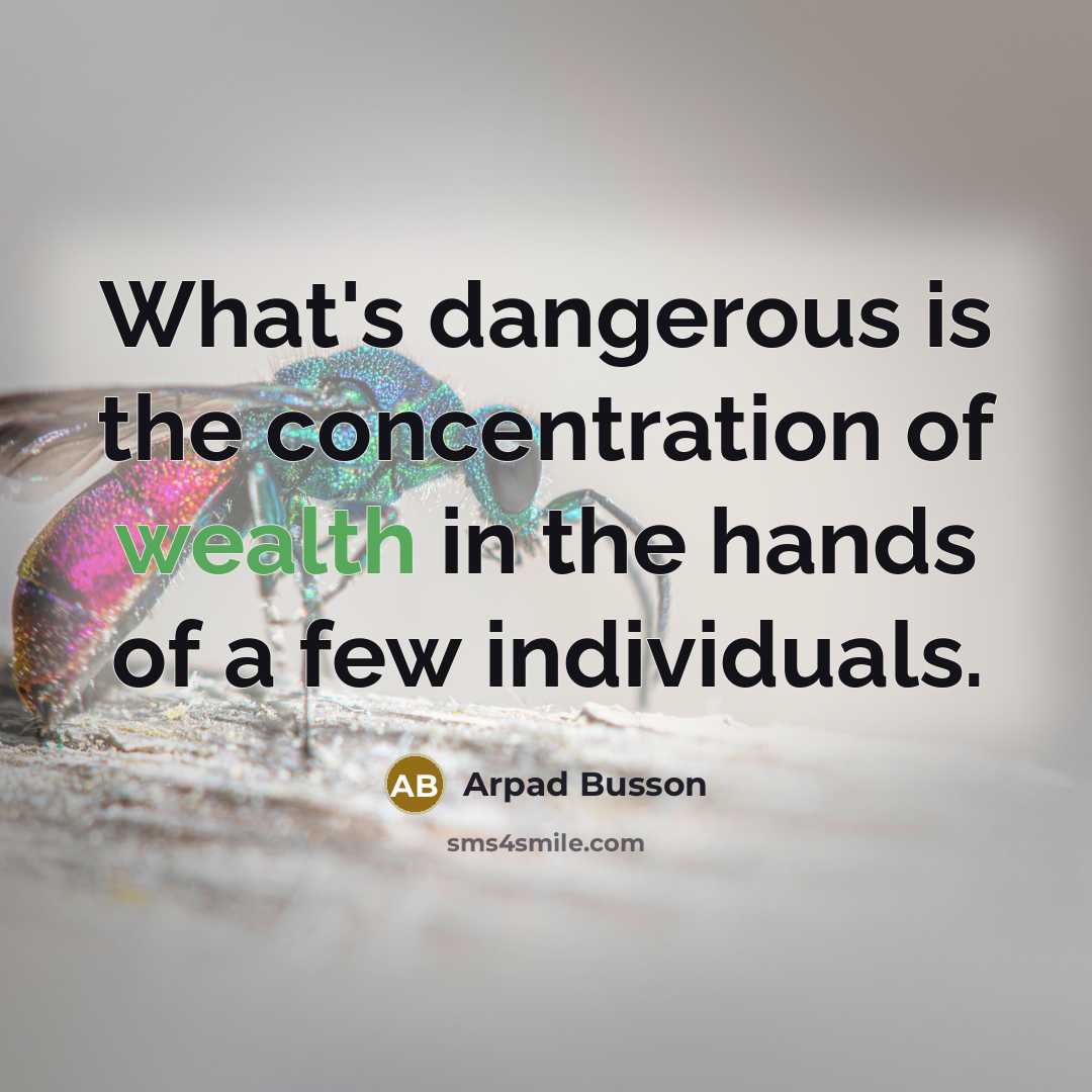 “What's dangerous is the concentration of wealth in the hands…” quote by Arpad Busson