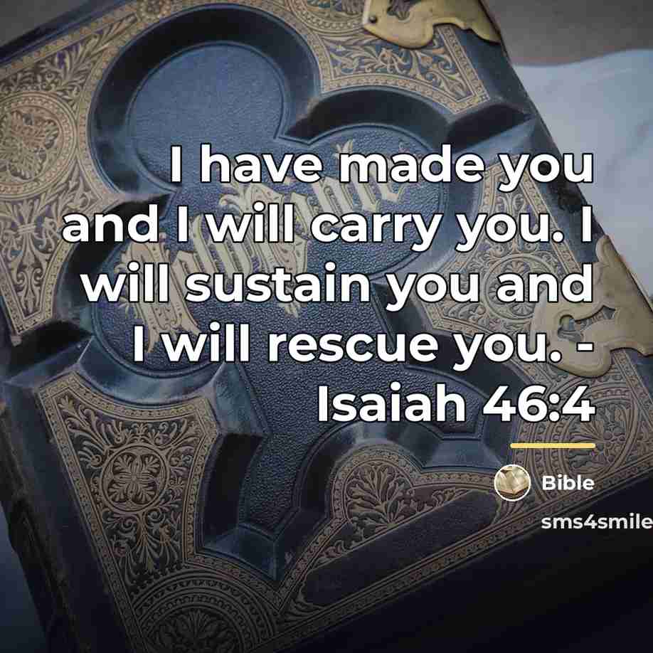 “I have made you and I will carry you. I…” quote by Bible