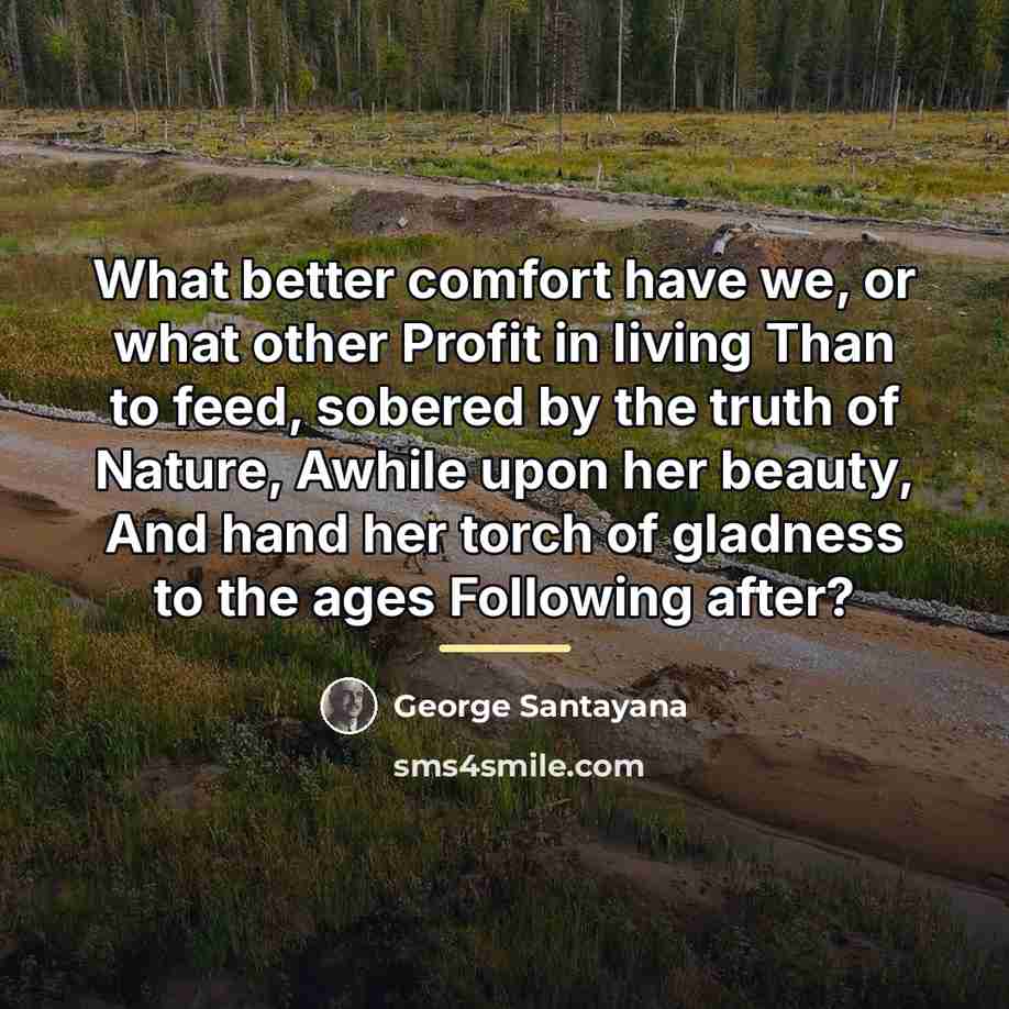 “What better comfort have we, or what other Profit in…” quote by George Santayana