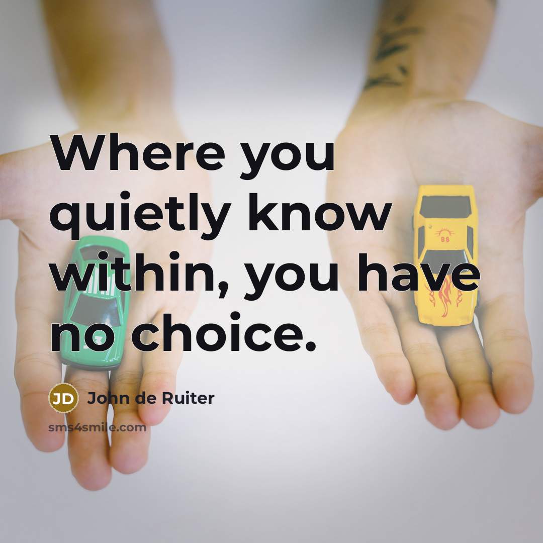 “Where you quietly know within, you have no choice.…” quote by John de Ruiter