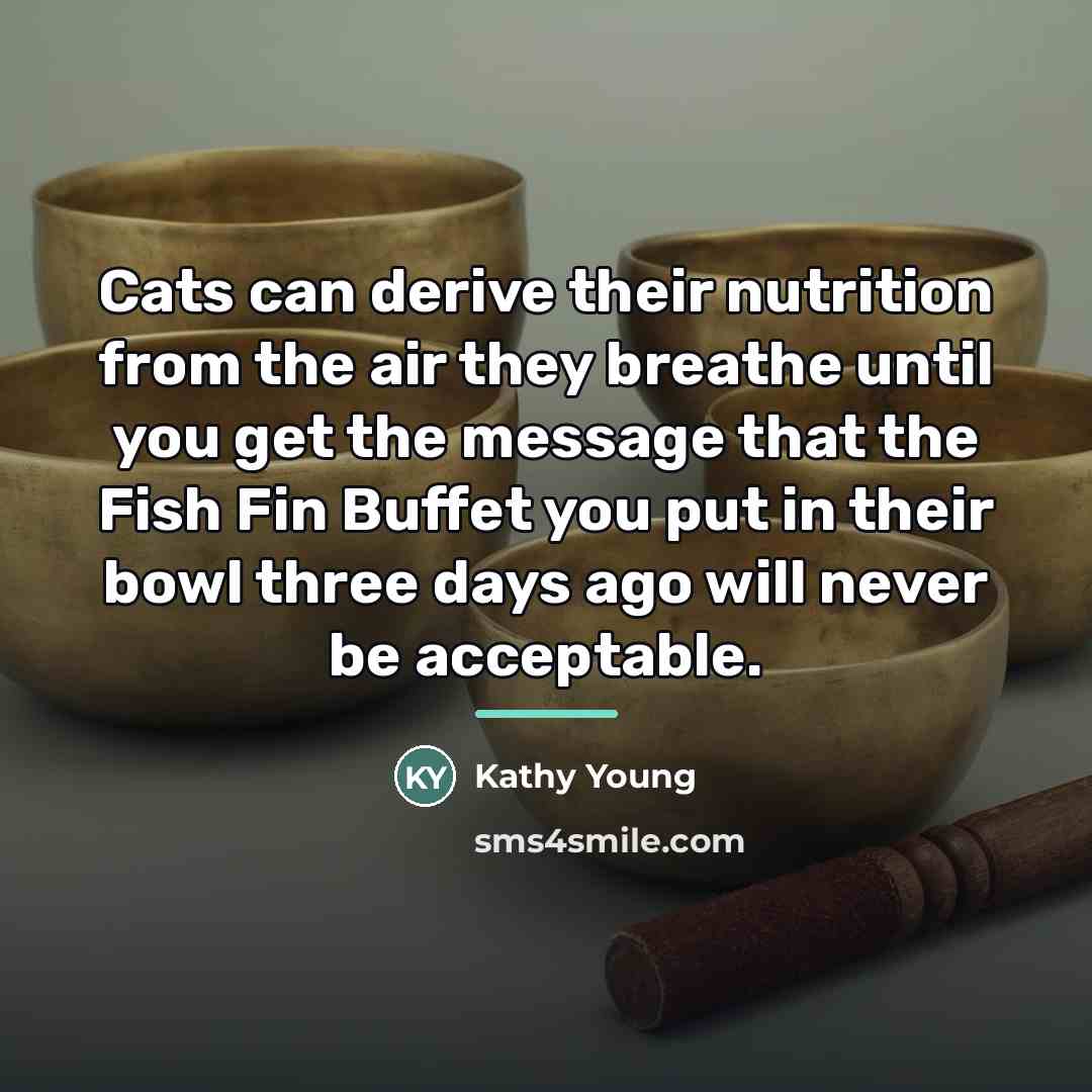“Cats can derive their nutrition from the air they breathe…” quote by Kathy Young