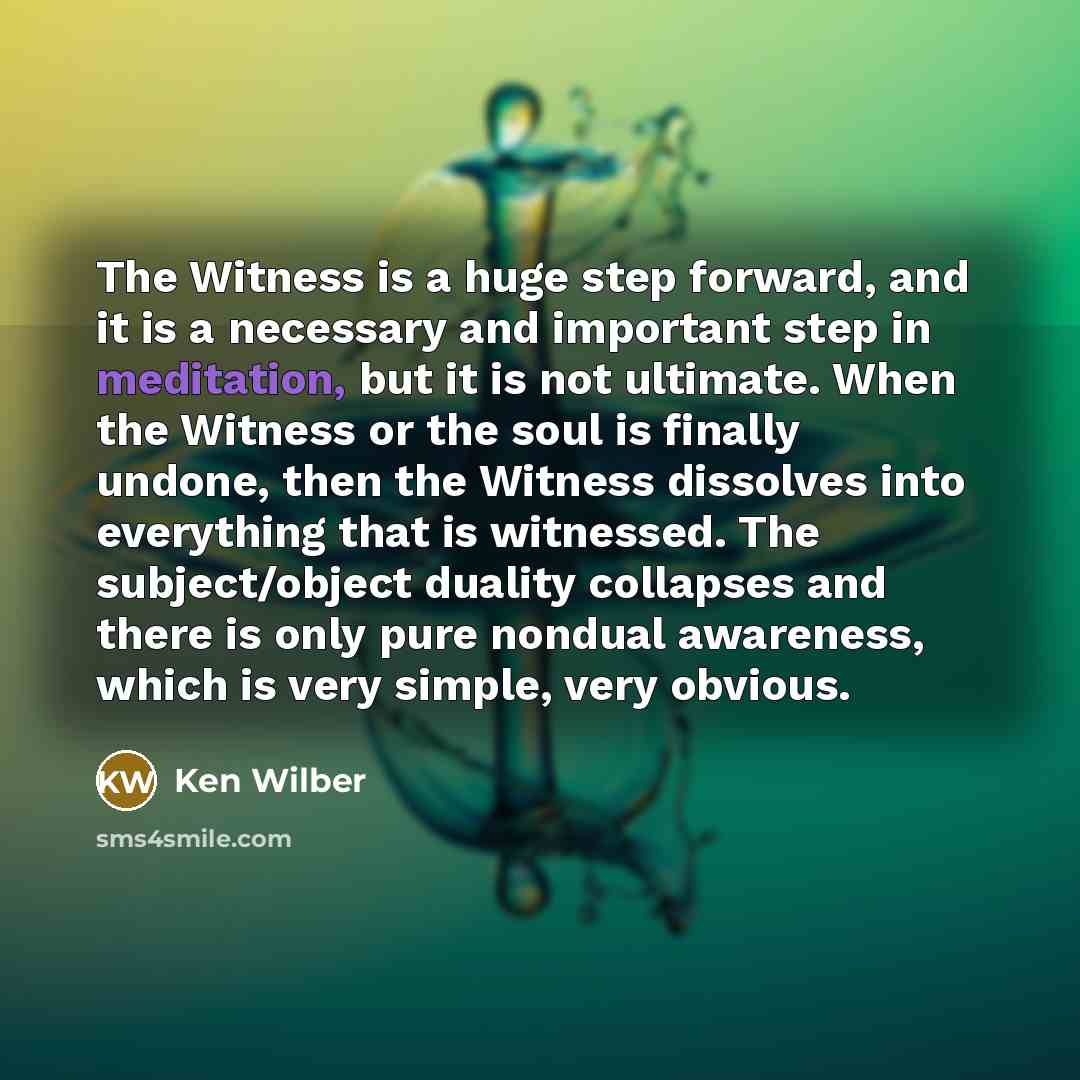 “The Witness is a huge step forward, and it is…” quote by Ken Wilber