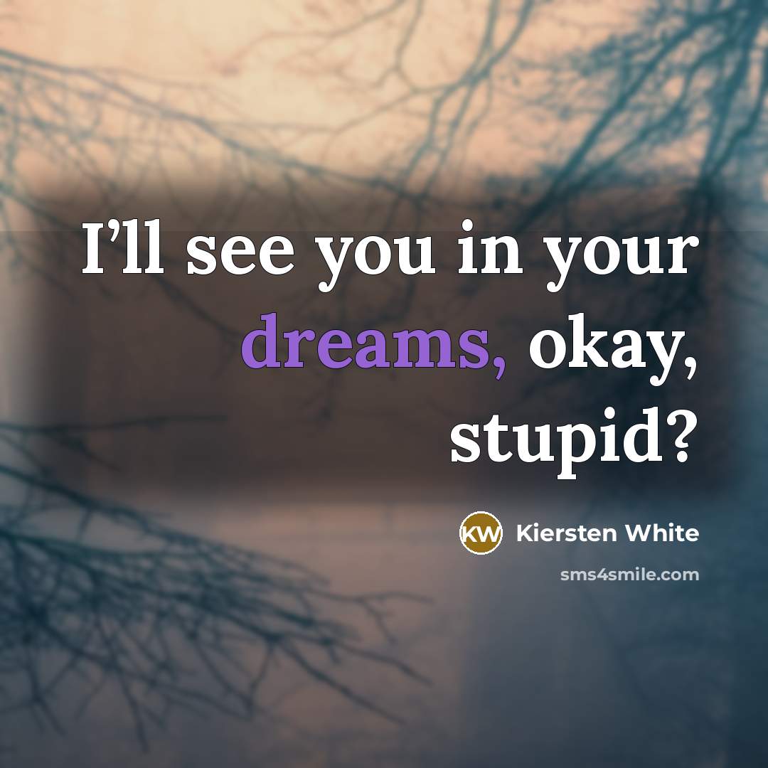 “I’ll see you in your dreams, okay, stupid?…” quote by Kiersten White