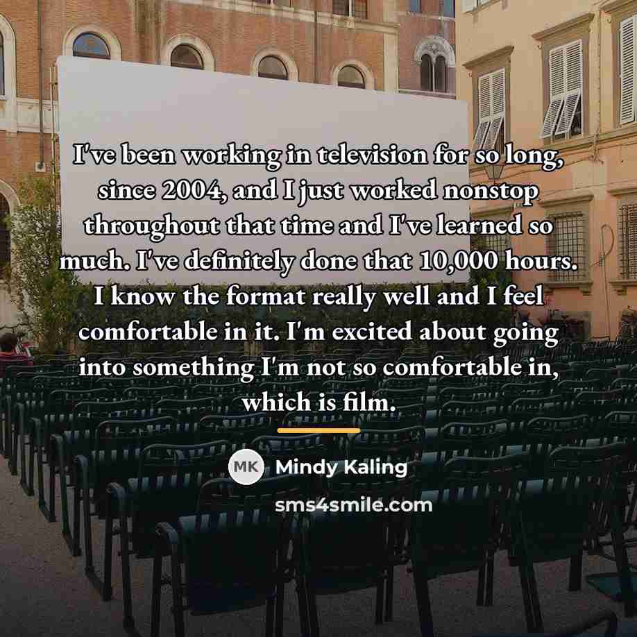 “I've been working in television for so long, since 2004,…” quote by Mindy Kaling