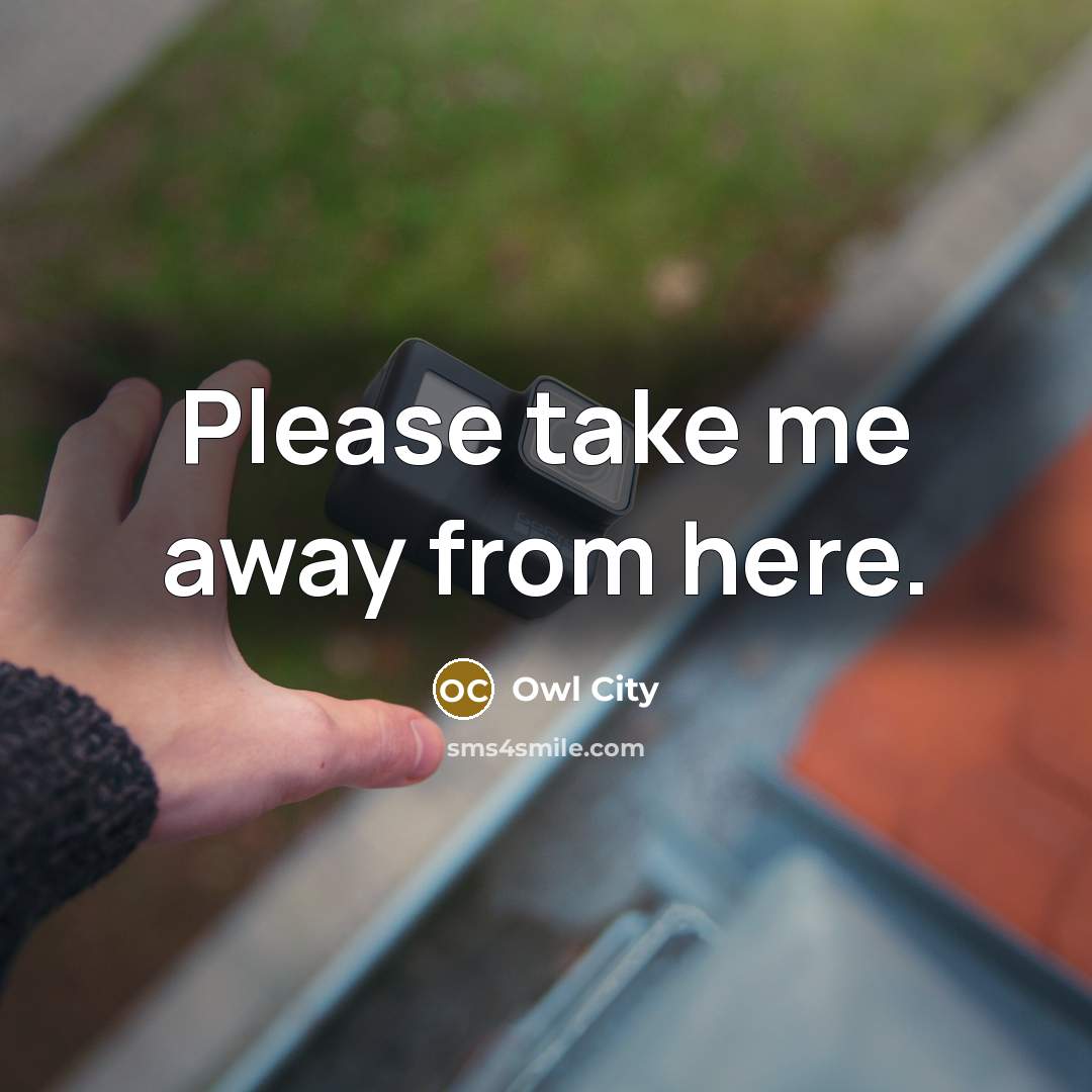 “Please take me away from here.…” quote by Owl City