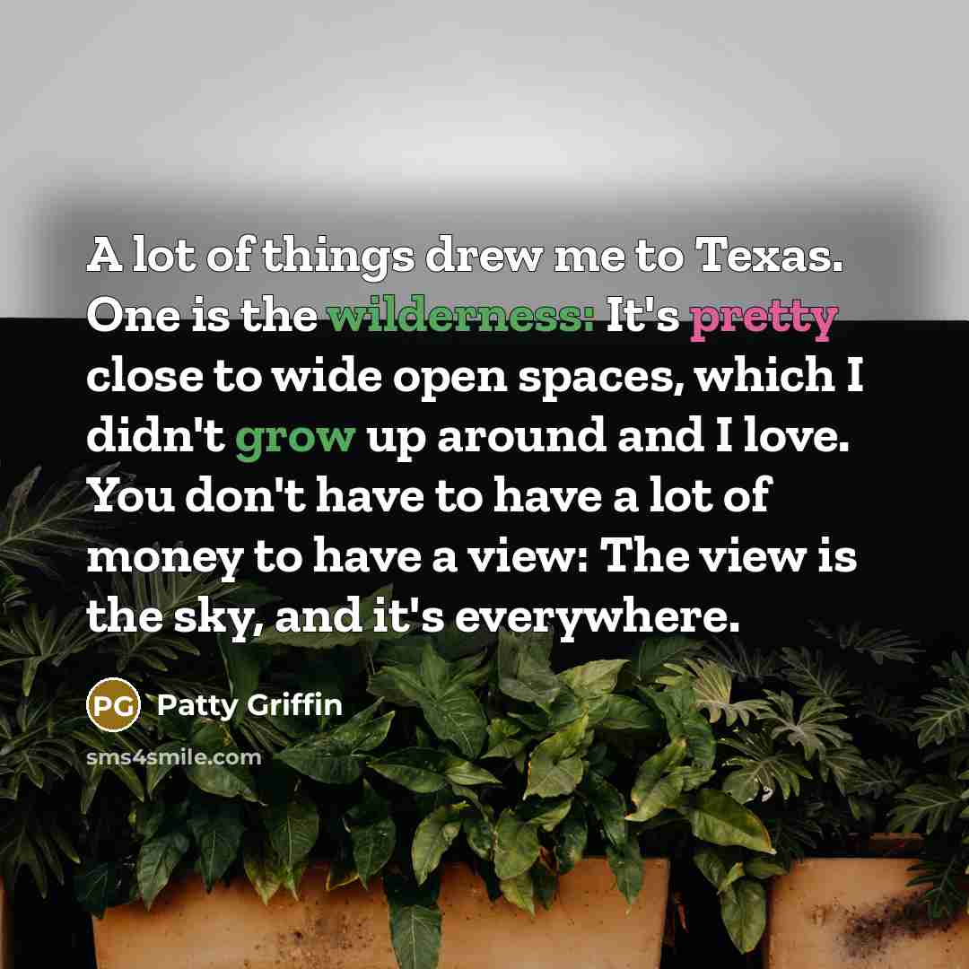 “A lot of things drew me to Texas. One is…” quote by Patty Griffin